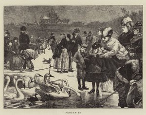 Eingefroren